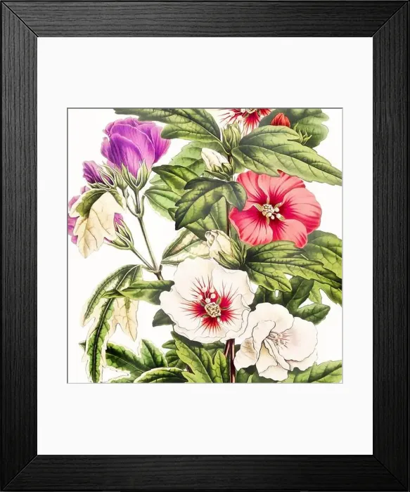 Framed Print : Digital floral watercolor vibes on textured white Framed Print : Digital floral watercolor vibes on textured white