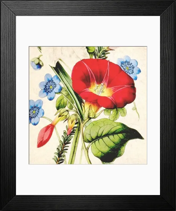 Framed Print : Digital floral watercolor vibes on textured beige Framed Print : Digital floral watercolor vibes on textured beige