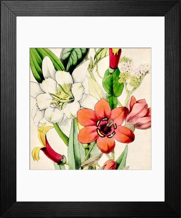 Framed Print : Digital floral watercolor vibes on textured beige Framed Print : Digital floral watercolor vibes on textured beige