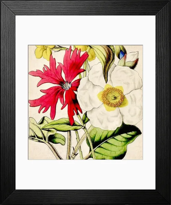 Framed Print : Digital floral watercolor vibes on textured beige Framed Print : Digital floral watercolor vibes on textured beige