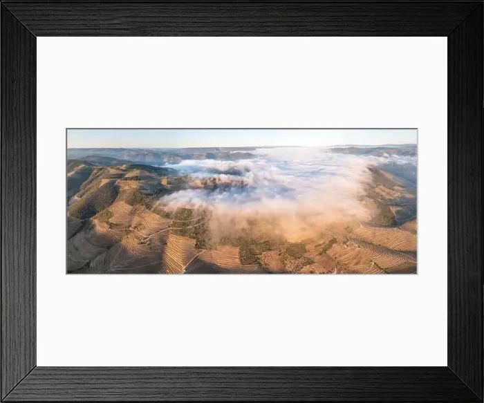 Framed Print : Aerial view of the terraced vineyards in romantic sunset in the Douro Valley near the village of Pinhao Framed Print : Aerial view of the terraced vineyards in romantic sunset in the Douro Valley near the village of Pinhao