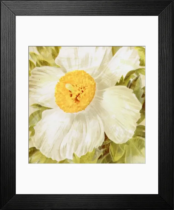 Framed Print : Square floral design, digitally painted in oil Framed Print : Square floral design, digitally painted in oil