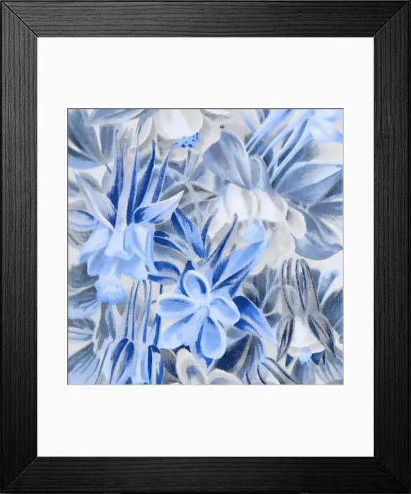 Framed Print : Blue-toned square floral art, digitally created Framed Print : Blue-toned square floral art, digitally created