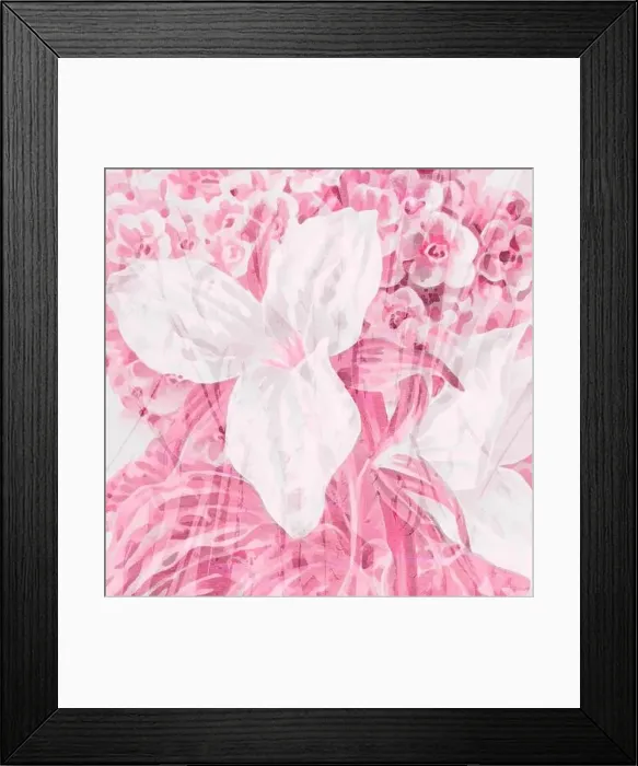 Framed Print : Pink-toned square floral art, digitally created Framed Print : Pink-toned square floral art, digitally created