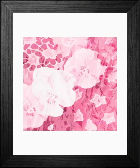 Framed Print : Pink-toned square floral art, digitally created Framed Print : Pink-toned square floral art, digitally created