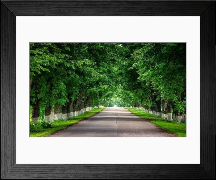 Framed Print : Green Horizons: A Scenic Drive through Summer's Embrace Framed Print : Green Horizons: A Scenic Drive through Summer's Embrace