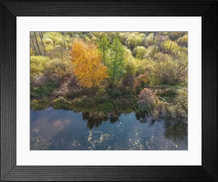 Framed Print : Aerial view of beautiful smooth green waters of a lake on a sunny autumn day