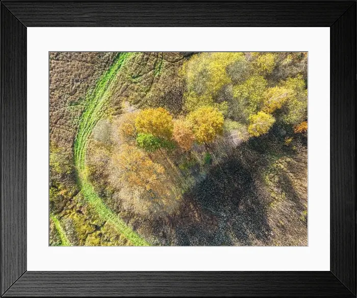 Framed Print : AERIAL forest in amazing autumn shades with road hiding under treetops Framed Print : AERIAL forest in amazing autumn shades with road hiding under treetops