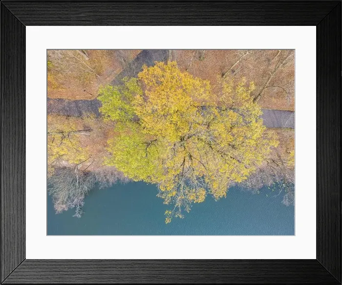 Framed Print : AERIAL forest in amazing autumn shades with road hiding under treetops