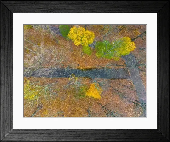 Framed Print : AERIAL forest in amazing autumn shades with road hiding under treetops Framed Print : AERIAL forest in amazing autumn shades with road hiding under treetops