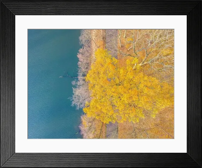 Framed Print : Aerial view of beautiful smooth green waters of a lake on a sunny autumn day