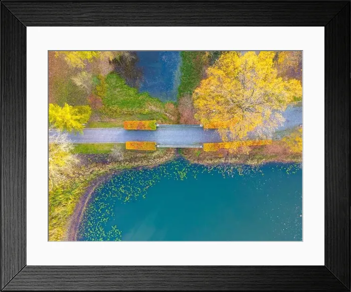 Framed Print : Beautiful travel or tourism style look down aerial of pedestrian foot bridge across River at park with colorful fall Framed Print : Beautiful travel or tourism style look down aerial of pedestrian foot bridge across River at park with colorful fall