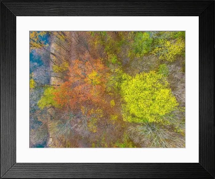 Framed Print : AERIAL forest in amazing autumn shades with road hiding under treetops