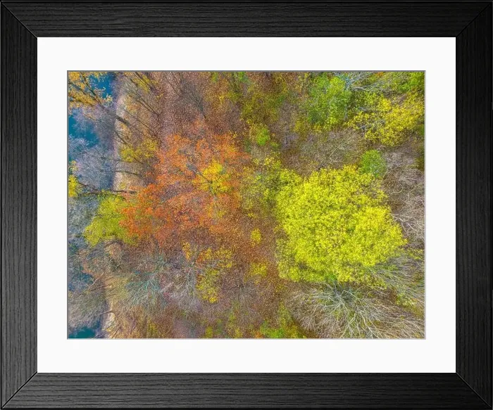 Framed Print : AERIAL forest in amazing autumn shades with road hiding under treetops Framed Print : AERIAL forest in amazing autumn shades with road hiding under treetops