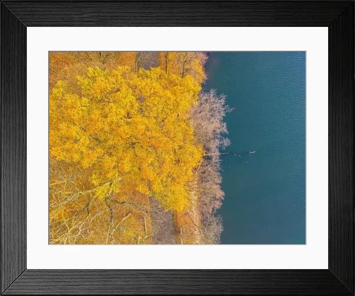 Framed Print : AERIAL forest in amazing autumn shades with road hiding under treetops Framed Print : AERIAL forest in amazing autumn shades with road hiding under treetops