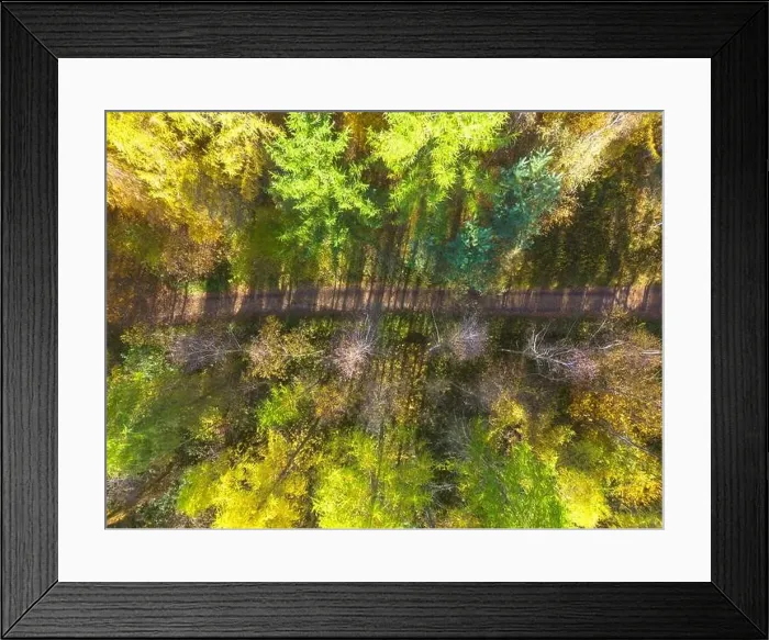 Framed Print : Aerial view of a rural road with in yellow and orange autumn forest Framed Print : Aerial view of a rural road with in yellow and orange autumn forest