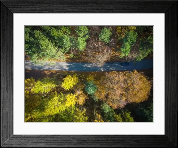 Framed Print : Aerial view of a rural road with in yellow and orange autumn forest Framed Print : Aerial view of a rural road with in yellow and orange autumn forest