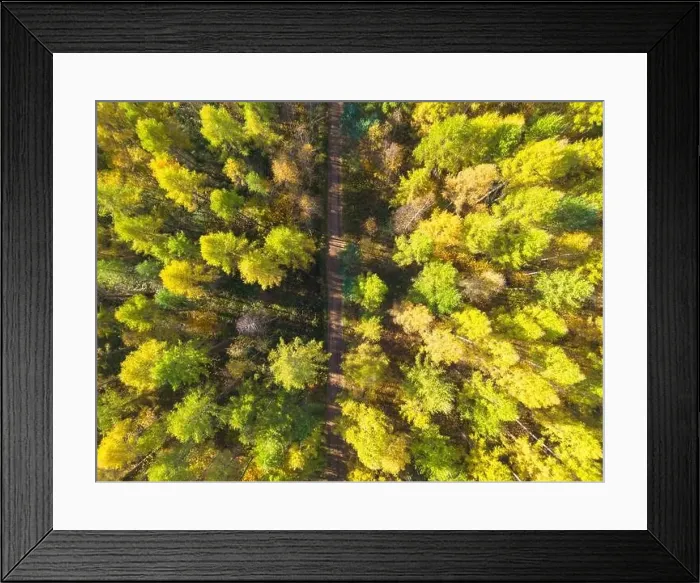 Framed Print : Aerial view of a rural road with in yellow and orange autumn forest Framed Print : Aerial view of a rural road with in yellow and orange autumn forest
