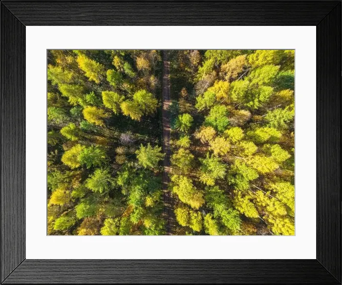 Framed Print : Aerial view of a rural road with in yellow and orange autumn forest Framed Print : Aerial view of a rural road with in yellow and orange autumn forest