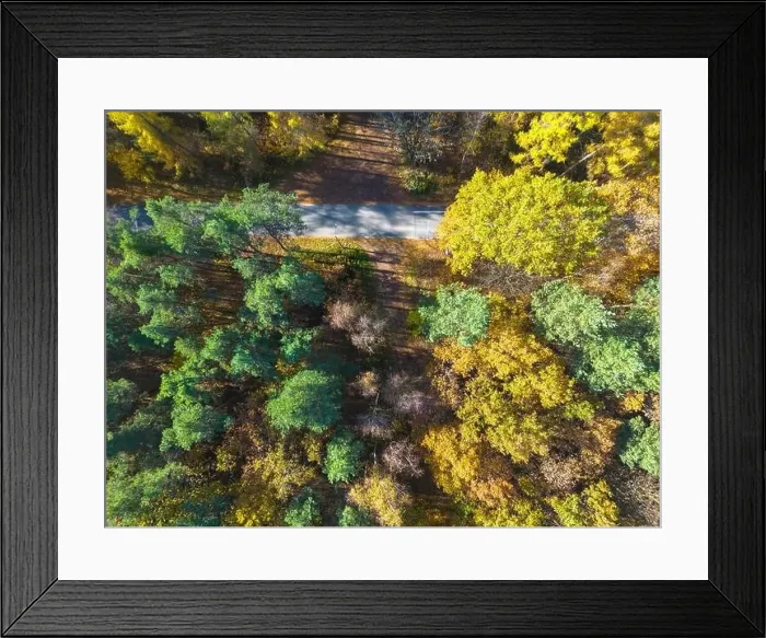 Framed Print : Aerial view of a rural road with in yellow and orange autumn forest Framed Print : Aerial view of a rural road with in yellow and orange autumn forest
