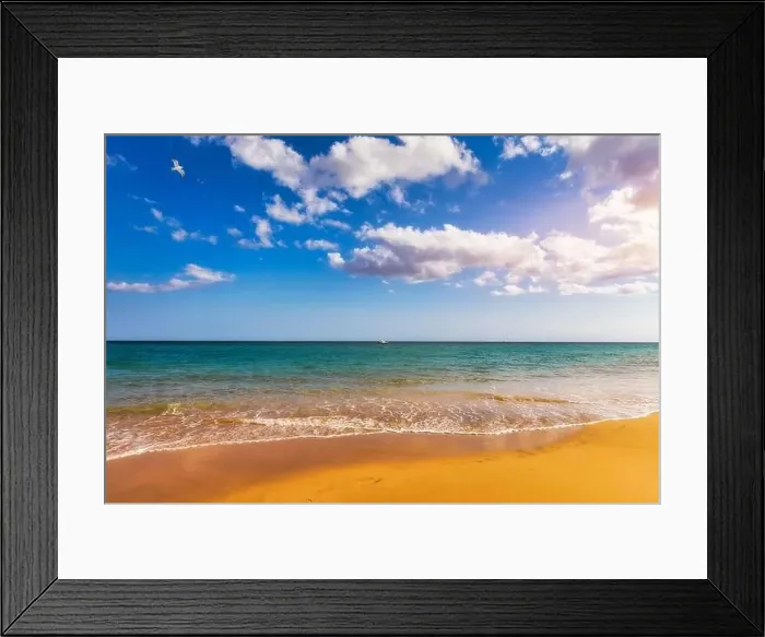 Framed Print : View on the beach Sotavento with golden sand Framed Print : View on the beach Sotavento with golden sand