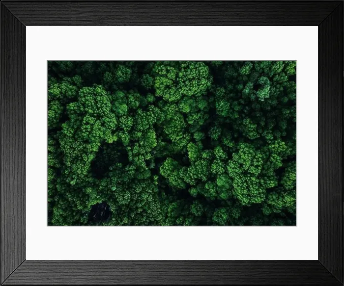 Framed Print : Green forest top view. Aerial photography from a drone Framed Print : Green forest top view. Aerial photography from a drone