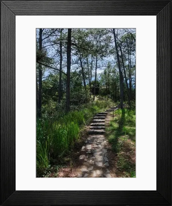 Framed Print : November 17, 2022: panoramic view of Da Lat city, Lam Dong province, Vietnam Framed Print : November 17, 2022: panoramic view of Da Lat city, Lam Dong province, Vietnam