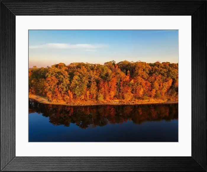 Framed Print : Fall Foliage at Falls Lake, Raleigh NC - Drone Framed Print : Fall Foliage at Falls Lake, Raleigh NC - Drone
