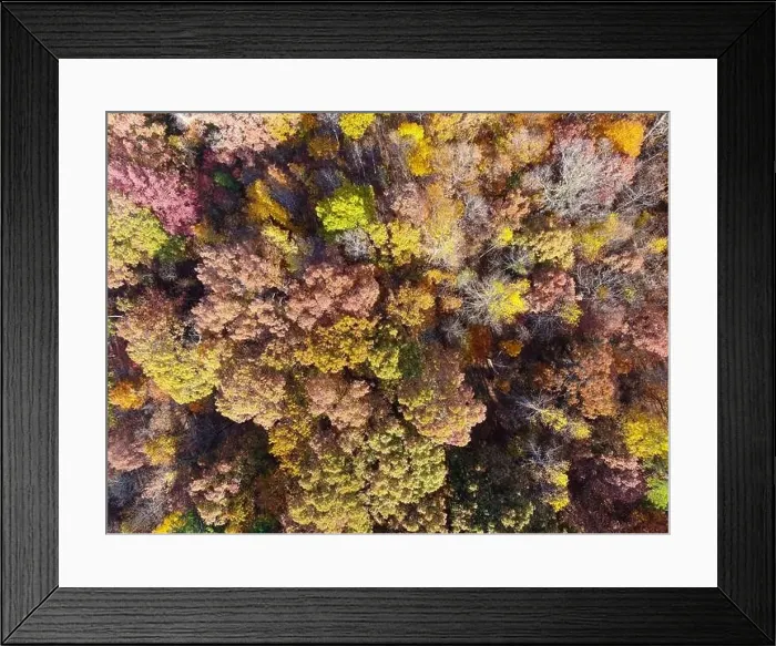 Framed Print : Drone Photos of Durant Nature Preserve, Raleigh NC Framed Print : Drone Photos of Durant Nature Preserve, Raleigh NC