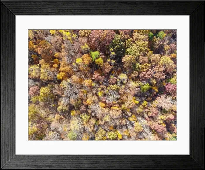 Framed Print : Drone Photos of Durant Nature Preserve, Raleigh NC Framed Print : Drone Photos of Durant Nature Preserve, Raleigh NC