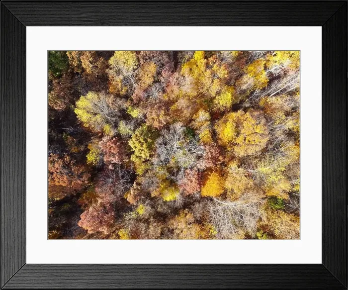 Framed Print : Drone Photos of Durant Nature Preserve, Raleigh NC Framed Print : Drone Photos of Durant Nature Preserve, Raleigh NC