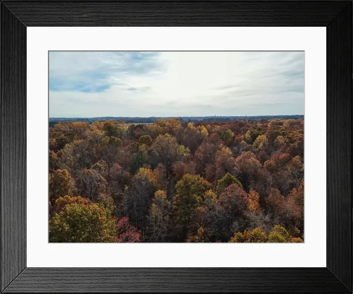 Framed Print : Drone Photos of Durant Nature Preserve, Raleigh NC Framed Print : Drone Photos of Durant Nature Preserve, Raleigh NC