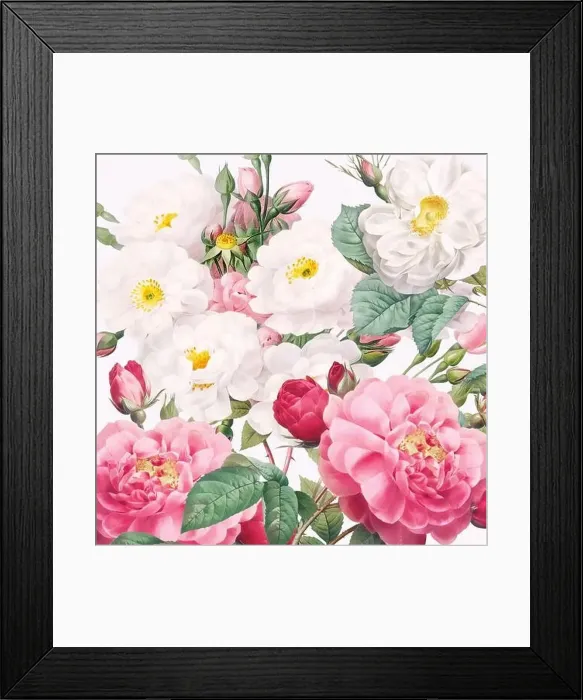 Framed Print : Rose Flowers. Floral design in a square format