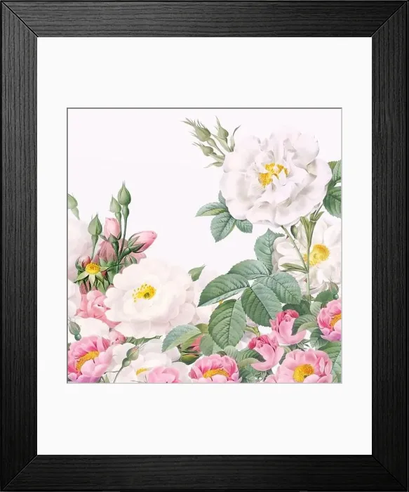 Framed Print : Rose Flowers. Floral design in a square format Framed Print : Rose Flowers. Floral design in a square format