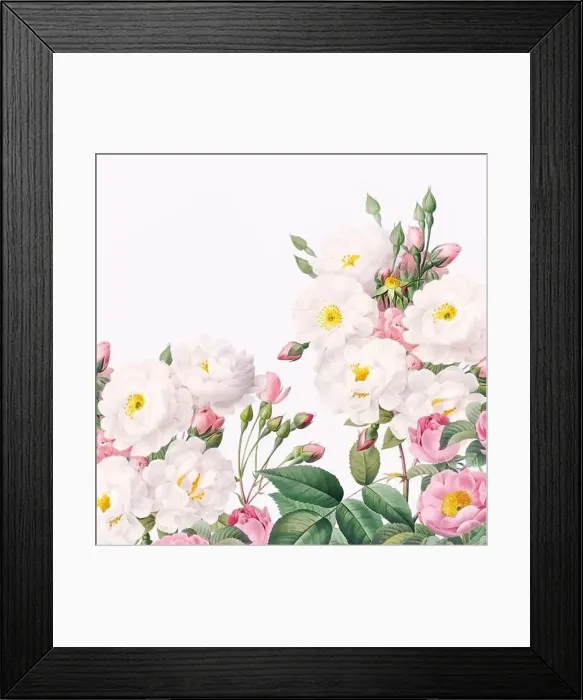 Framed Print : Rose Flowers. Floral design in a square format Framed Print : Rose Flowers. Floral design in a square format