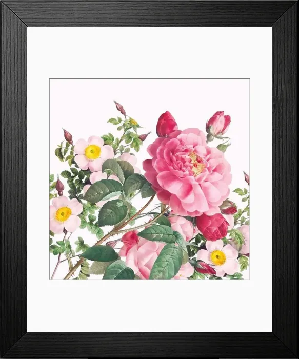 Framed Print : Rose Flowers. Floral design in a square format