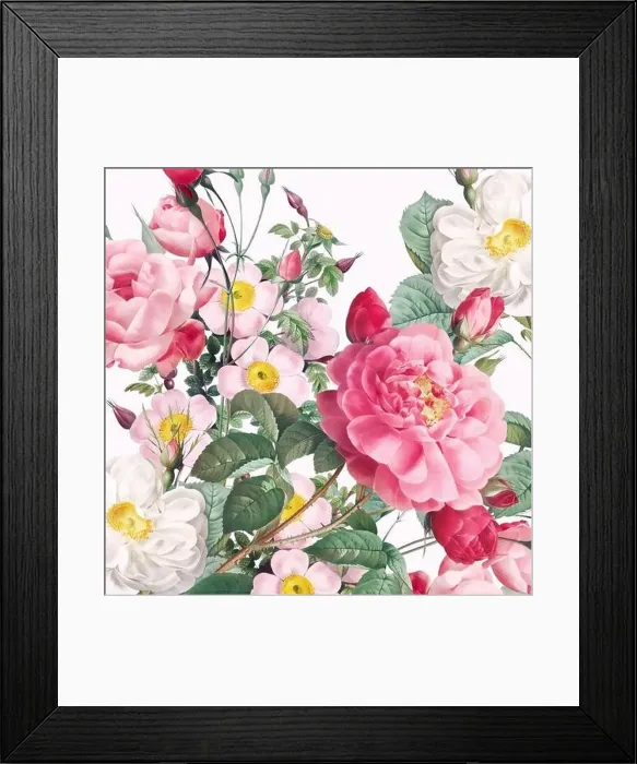 Framed Print : Rose Flowers. Floral design in a square format Framed Print : Rose Flowers. Floral design in a square format