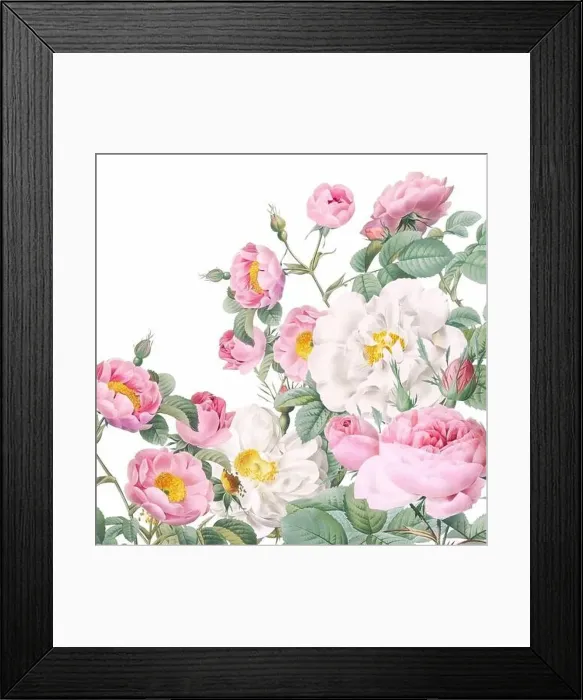Framed Print : Rose Flowers. Floral design in a square format Framed Print : Rose Flowers. Floral design in a square format