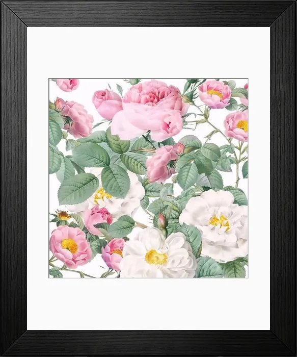 Framed Print : Rose Flowers. Floral design in a square format