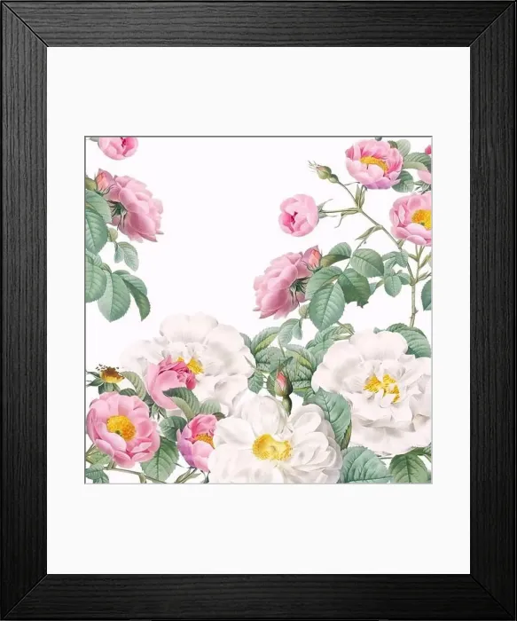 Framed Print : Rose Flowers. Floral design in a square format