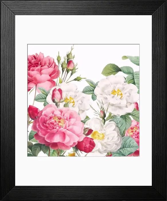 Framed Print : Rose Flowers. Floral design in a square format Framed Print : Rose Flowers. Floral design in a square format