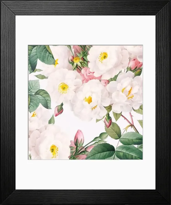 Framed Print : Rose Flowers. Floral design in a square format Framed Print : Rose Flowers. Floral design in a square format