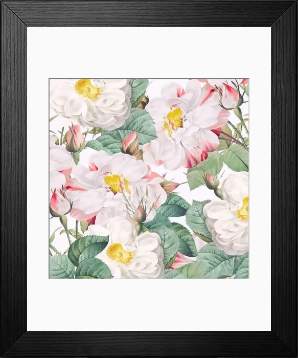 Framed Print : Rose Flowers. Floral design in a square format