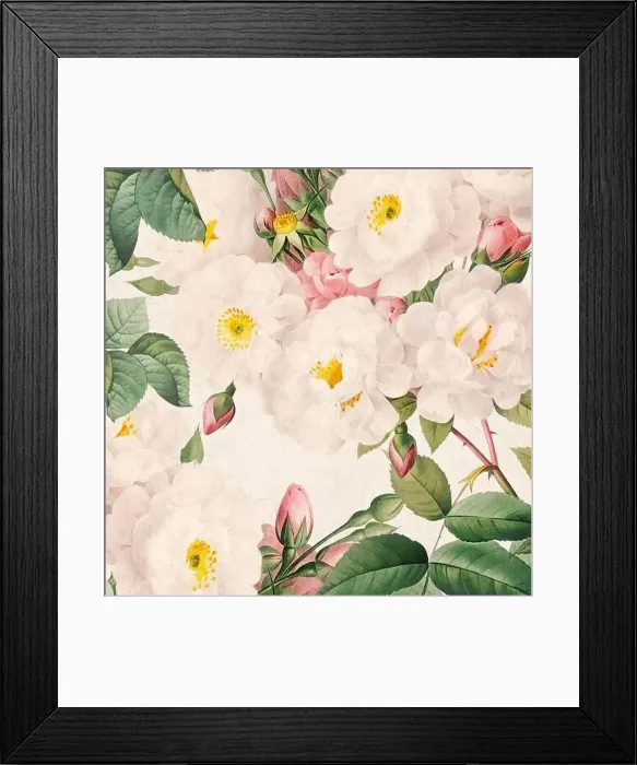 Framed Print : Rose Flowers. Floral design in a square format Framed Print : Rose Flowers. Floral design in a square format