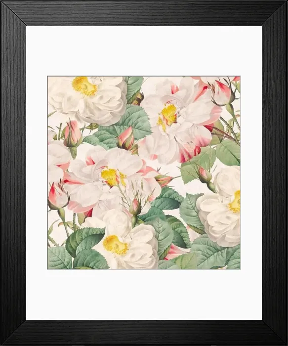 Framed Print : Rose Flowers. Floral design in a square format