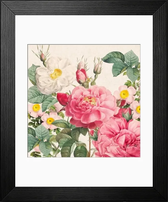 Framed Print : Rose Flowers. Floral design in a square format