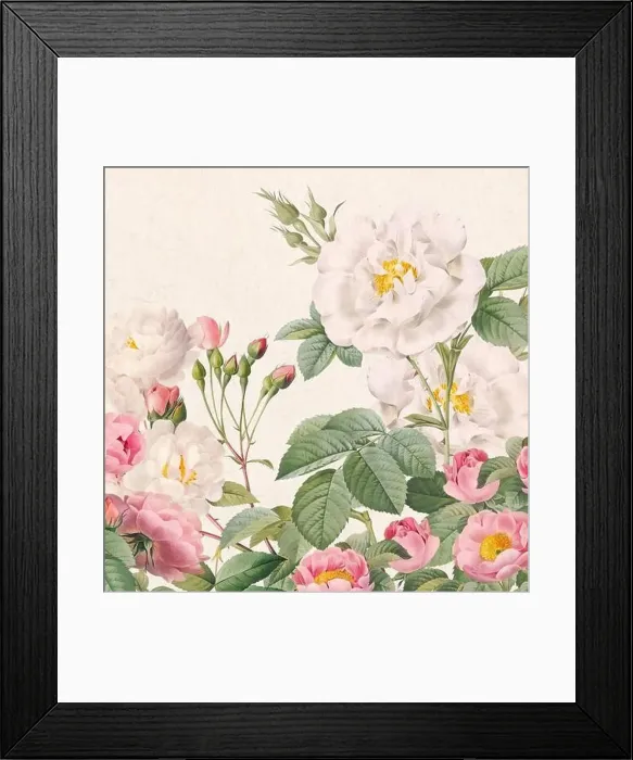 Framed Print : Rose Flowers. Floral design in a square format