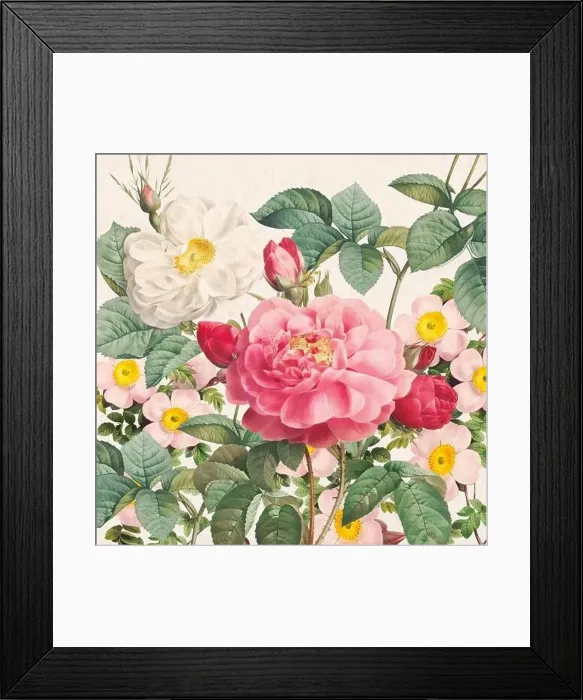 Framed Print : Rose Flowers. Floral design in a square format Framed Print : Rose Flowers. Floral design in a square format