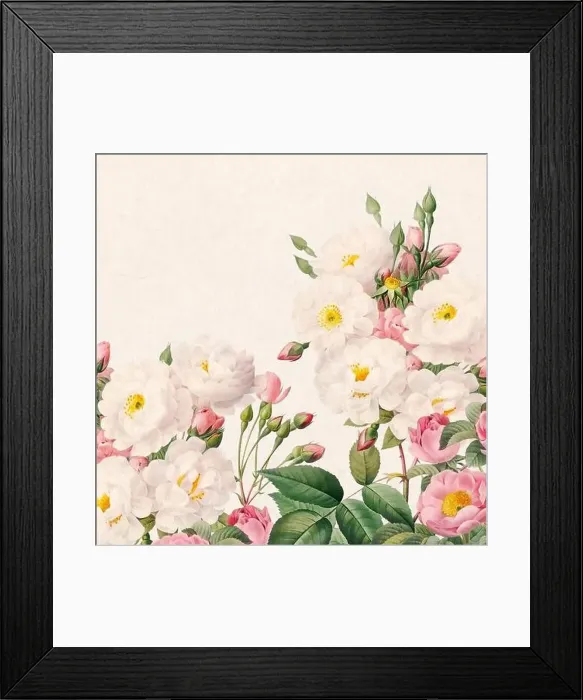 Framed Print : Rose Flowers. Floral design in a square format Framed Print : Rose Flowers. Floral design in a square format