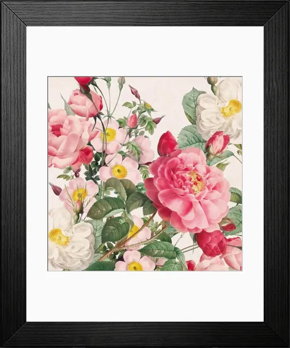 Framed Print : Rose Flowers. Floral design in a square format Framed Print : Rose Flowers. Floral design in a square format